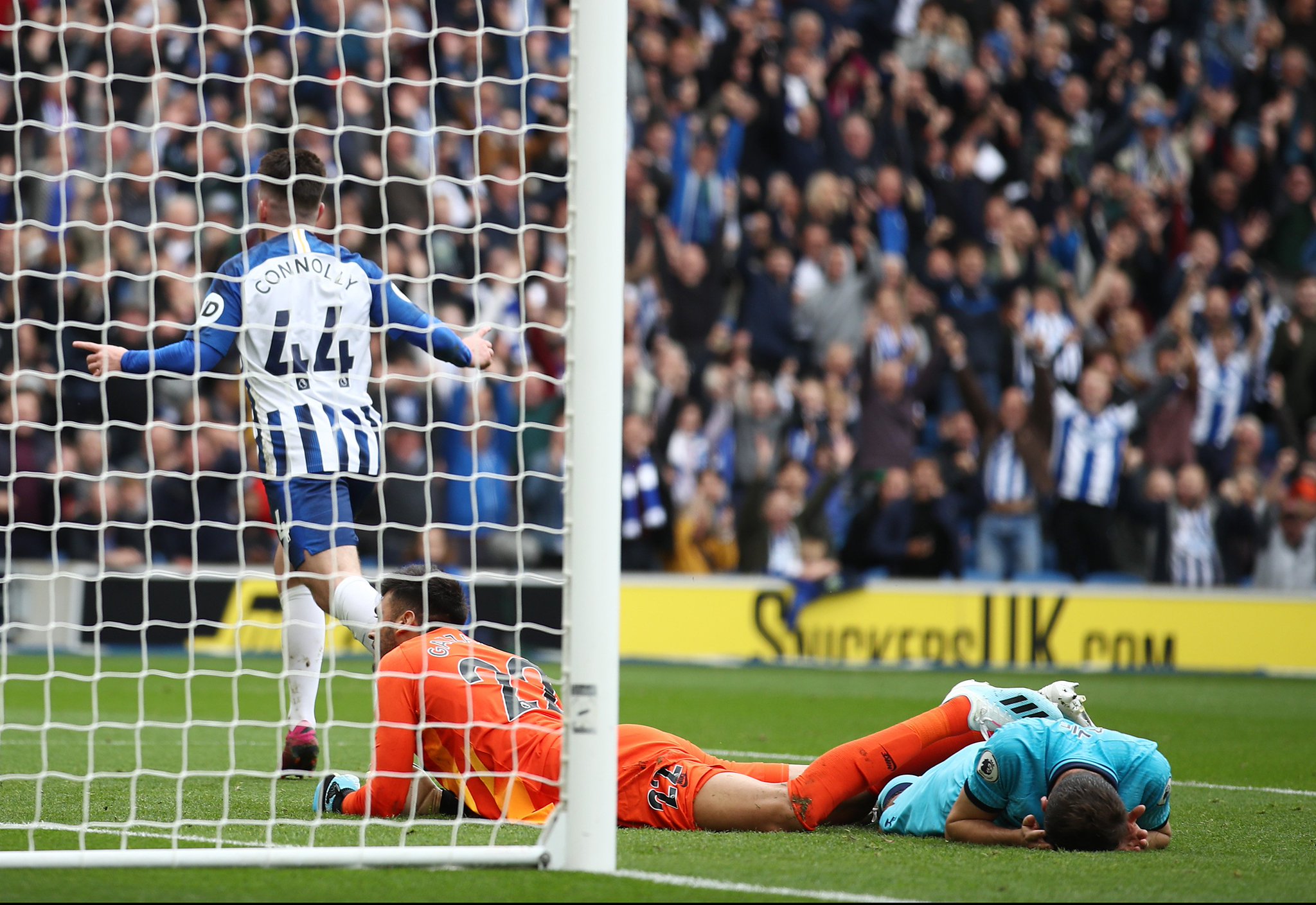 這些國內競 這些國內競